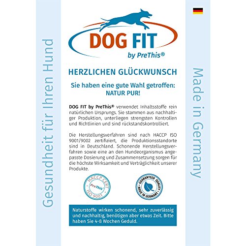 Dog FIT de PreThis® Joints Grande, Mediano y pequeño | Remedio Articular Perros con Dolor Articular y osteoartritis | Nutrientes para Las articulaciones