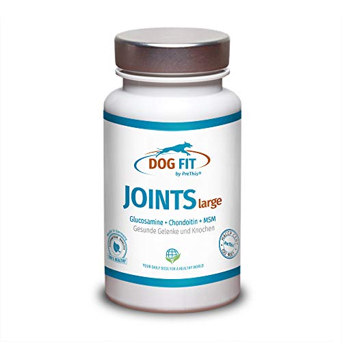 Dog FIT de PreThis® Joints Grande, Mediano y pequeño | Remedio Articular Perros con Dolor Articular y osteoartritis | Nutrientes para Las articulaciones