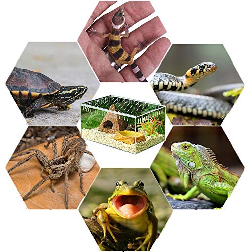 domiluoyoyo Reptil Transparente Caja de cría Terrario pequeño de acrílico Vista Completa Caja de alimentación para Reptiles de Insectos Tarántulas Anfibios Orugas Grillo Araña Caracol Reptil