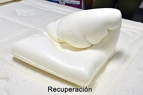 Dormio - Almohada viscoelástica con perfecta adaptabilidad al cuello, Tejido Aloe Vera, Termorregulable, Blanco, 80 cm