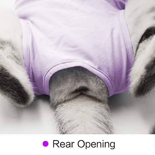 Dotoner Gatos Traje de recuperación Profesional para heridas Abdominales o Enfermedades de la Piel Alternativo para Gatos y Perros después de la cirugía Ropa para el hogar(Morado,m)