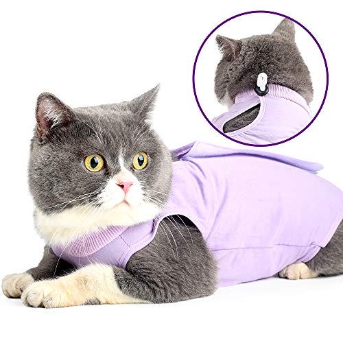 Dotoner Gatos Traje de recuperación Profesional para heridas Abdominales o Enfermedades de la Piel Alternativo para Gatos y Perros después de la cirugía Ropa para el hogar(Morado,m)