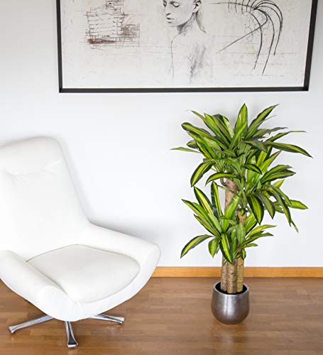 Dracena Artificial, Elaborados con los Mejores Materiales, Ideal para Decoracion de hogar (130 cm)