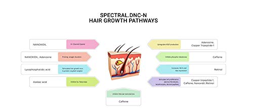 Ds Laboratories Spectral Dnc-N Breakthrough Hair Loss Growth Treatment System 60Ml/2Oz