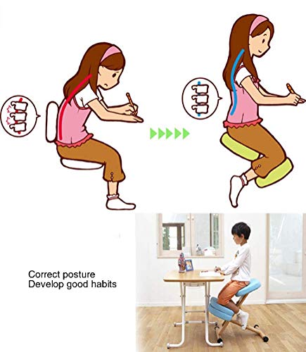 DSHUJC Silla ergonómica para arrodillarse, Escritorio de Oficina Ajustable, Taburete para la Rodilla, Postura correctiva, Asiento para la Espalda, Soporte para el Cuello, Alivio de la Ten