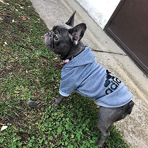 Ducomi Adidog - Sudadera con Capucha para Perros en Algodón Suave - Costuras Resistentes - Disponibles de XS a 8XL - Se envía Desde España (3XL, Gris)