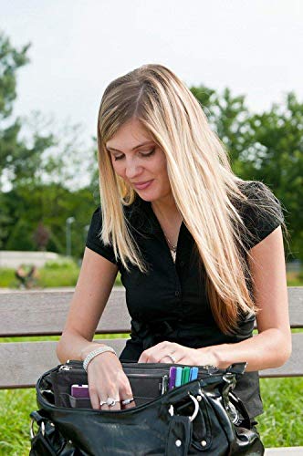 Ducomi Organizador de Bolsos Expandible con 13 Compartimientos Grandes - Estuche Interior para Bolsos para Almacenar Maquillaje, Documentos y Teléfonos - Amplio y Bolsillos (Standard, Black)