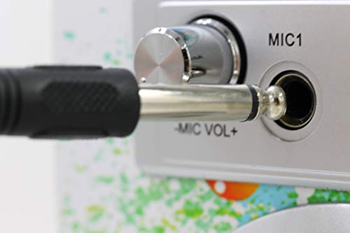 DYNASONIC - Altavoz Bluetooth con Karaoke 10W | Reproductor mp3 Inalámbrico Portátil, Lector USB SD, Radio FM - Modelo 1