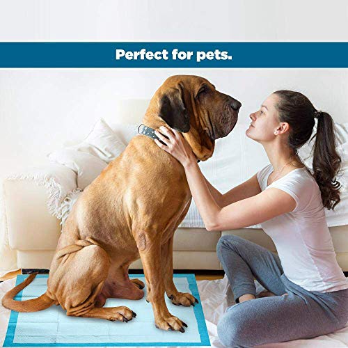 DZL-empapadores Desechables - Empapadores Super-absorbentes, Almohadillas para la incontinencia (XL 60X90CM 40PCS, Blanco)