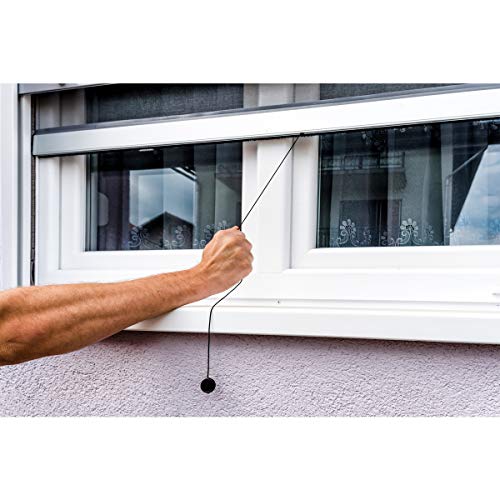 ECD Germany Mosquitera Enrollable para Ventana Color Marco Blanco Resistente a la Intemperie 160 x 160 cm Tela de Fibra de Vidrio Armazón de Aluminio Malla Protectora Hogar contra Insectos Mosquitos