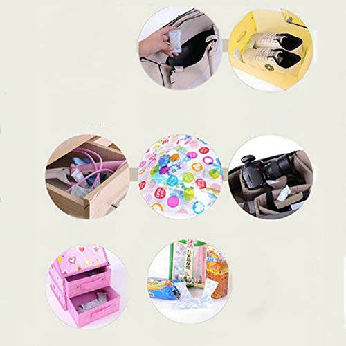 ECYC 100 Paquetes Absorbente De Humedad Desecante Desecante De Gel De SíLice Bolsa Desecante Reutilizable 3 G/Paquete Deshumidificador De Gel De SíLice No TóXico