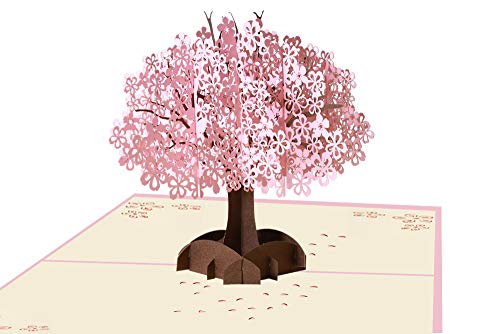 EDATOFLY Tarjeta Regalo de 3D Pop-up Regalo, Tarjeta de Felicitación Desplegable con Sobre para Aniversario, San Valentín, Cumpleaños, Tarjeta Boda para Novios, Novias (Cerezo)