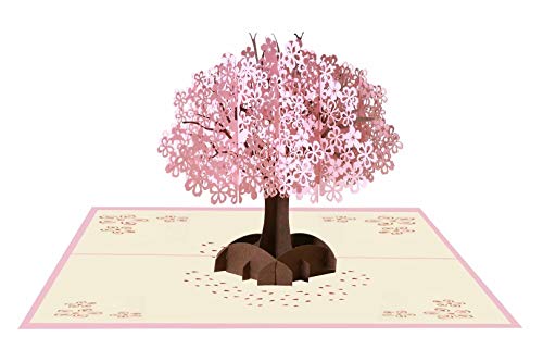 EDATOFLY Tarjeta Regalo de 3D Pop-up Regalo, Tarjeta de Felicitación Desplegable con Sobre para Aniversario, San Valentín, Cumpleaños, Tarjeta Boda para Novios, Novias (Cerezo)