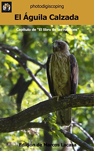 El Águila Calzada: Aquila Pennata (El libro de las rapaces nº 23)