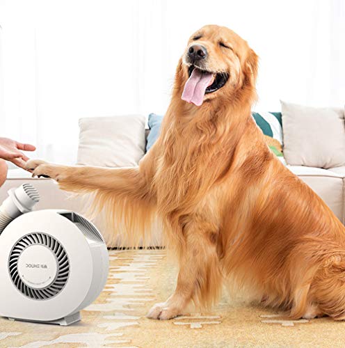 Eléctrico Secadora de ropa, Portátil Secador de edredones zapatos, Edredón de ropa pequeña Más cálido Calentador de manta Deshumidificador para viajes casa, Secador pelo para perros y gatos,Blanco