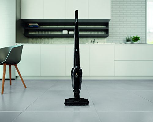 Electrolux escoba sin hilo Ebony Black