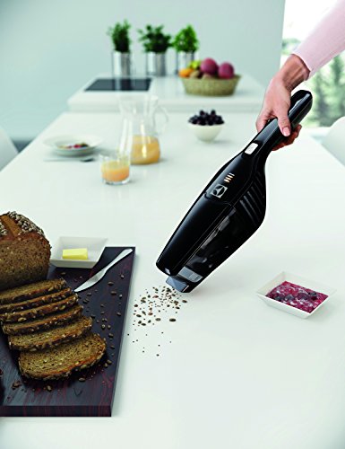 Electrolux escoba sin hilo Ebony Black