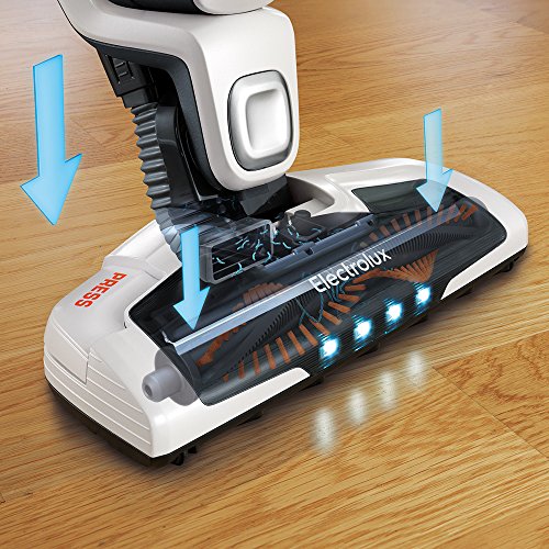 Electrolux ZB3230P - Aspiradora Escoba Especial Mascotas, Color Blanco [Clase de eficiencia energética A]