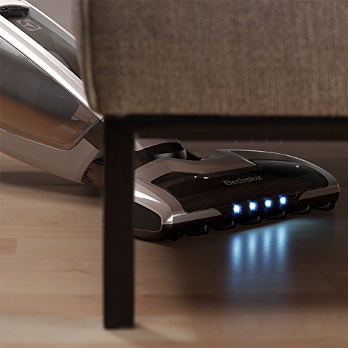 Electrolux ZB5020 Aspirador escoba con batería de Litio TurboPower de 21,6 V, 0.8 litros, 81 Decibelios, Blanco hielo