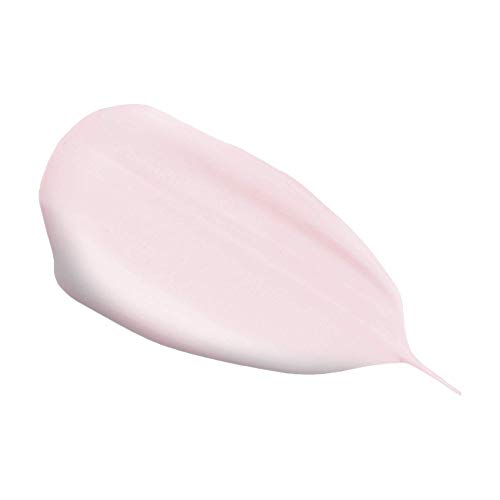 Elizabeth Mott Sombra de ojos a prueba de agua para prevenir los párpados grasos y arrugas Imprimación de cara mate (30 g) Claro