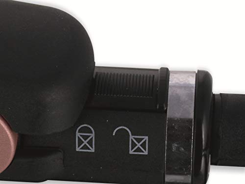 Emerio Hair Care Family HS-107146.1 - Plancha para el pelo (revestimiento de cerámica, hasta 220 °C), color negro y oro rosa