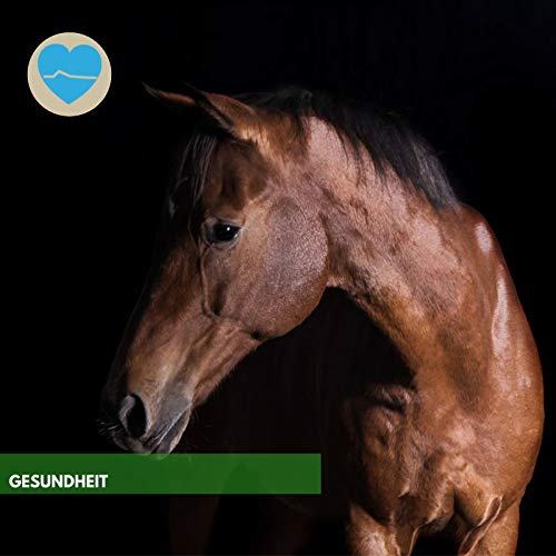 EMMA Ungüento de Zinc para Caballos y Perros Ungüento para la cicatrización de heridas I Cuidado de la Piel I Pasta de Zinc para la irritación de la Piel, picazón, Eczema 250 ml