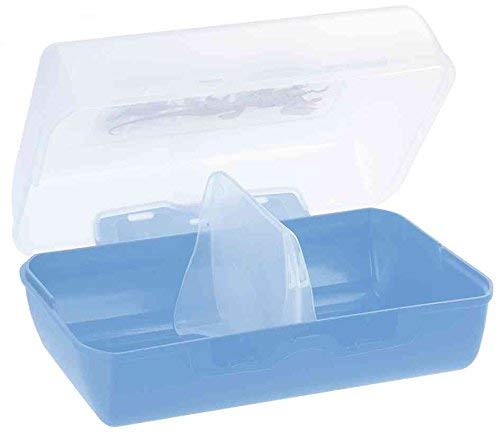 Emsa 49496 Fiambrera con diseño de Dinosaurio, Transparente/Azul