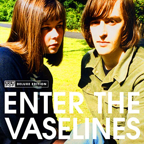 Enter the Vaselines [Vinilo]