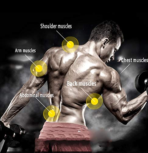 Entrenamiento Abdominal De Espalda, Taburete Fitness Multifuncional Rome, MáQuina De Espalda Entrenador, hasta 150 Kg, ErgonóMico y Ajustable, Entrenamiento De Cintura