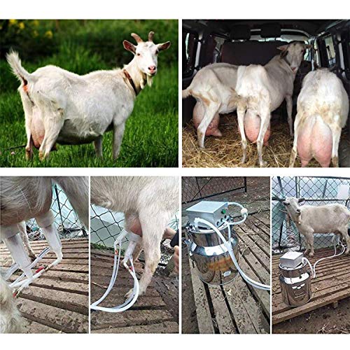 EnweGey Ordeñadora Eléctrica, Extractor de Leche Automático Portátil con Función Automática de Parada de Leche, Capacidad de 5 litros, Ordeñadora Pulsación Vacío para Bovinos y Ovinos,For Cattle