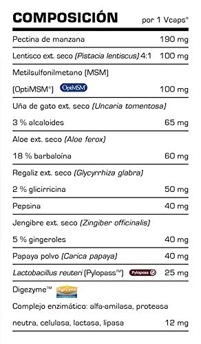 Enzimas Digestivas - GASTRO SUPPORT 60 Cápsulas - Suplementos Deportivos y Suplementos Alimentación - Vitobest