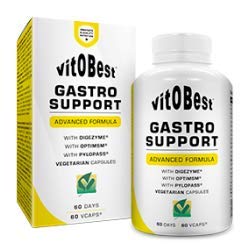 Enzimas Digestivas - GASTRO SUPPORT 60 Cápsulas - Suplementos Deportivos y Suplementos Alimentación - Vitobest