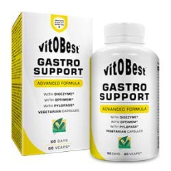 Enzimas Digestivas - GASTRO SUPPORT 60 Cápsulas - Suplementos Deportivos y Suplementos Alimentación - Vitobest