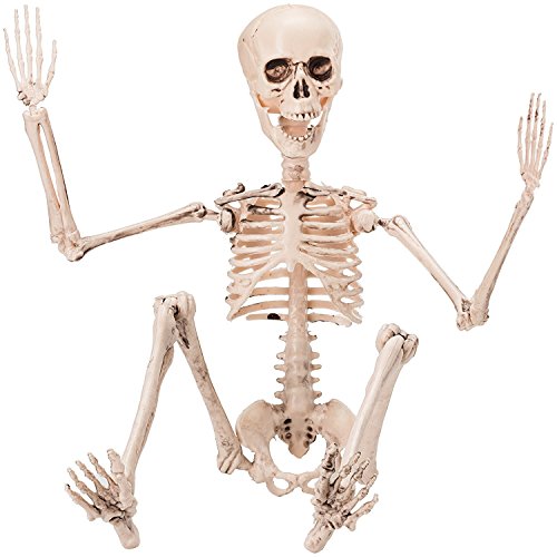 Esqueleto para Halloween de 48cm Prextex para Hacer Poses - Esqueleto de Cuerpo Entero con Articulaciones Movibles para Posar y 2 Sets de Accesorios para Cuerpo para la Mejor Decoración de Halloween