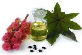 Essenciales - Aceite Vegetal de Ricino (Máxima Calidad), 100% PURO, 100 ml | Aceite Vegetal Ricinus Communis, 1º Presión en Frío