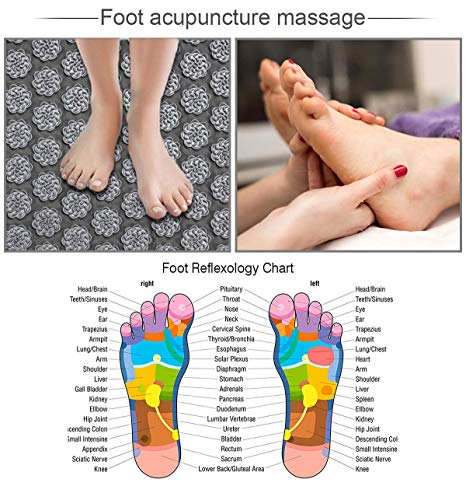 Esterilla Acupresión Masaje Kit, Esterilla Acupresión y Almohada Acupresión, Acupresión Masaje, Alivia el dolor de espalda y cuello, relaja los músculos y reduce el insomnio (Gray-01)