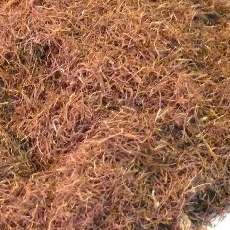 ESTIGMA DE MAIZ - bolsa 1/2 k