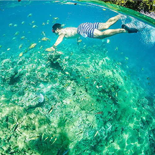 Estuche impermeable con puerto de domo para GoPro Hero 5 6 7 2018, cubierta de lentes con pistola de disparo para accesorios de buceo con lente de cámara GoPro (For GoPro Hero 5 6)