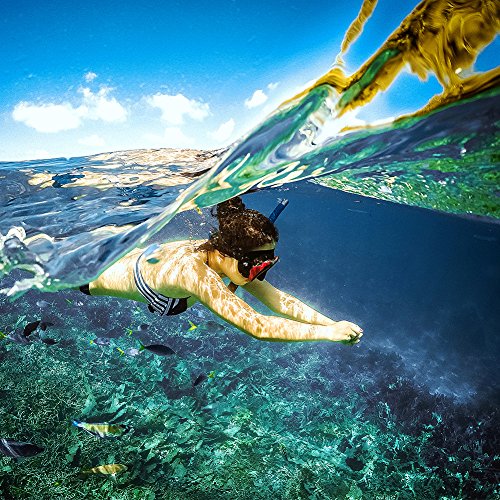 Estuche impermeable con puerto de domo para GoPro Hero 5 6 7 2018, cubierta de lentes con pistola de disparo para accesorios de buceo con lente de cámara GoPro (For GoPro Hero 5 6)