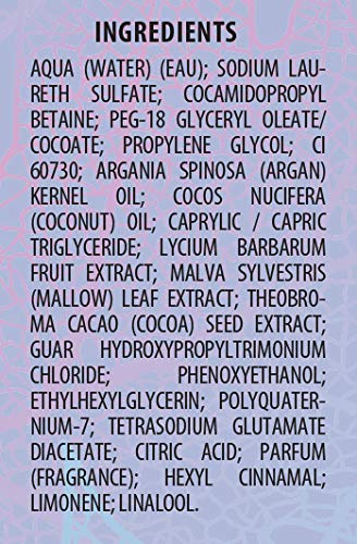 Etolab - Champú antiamarillo con aceite de argán, bayas de goji y extracto de malva (2x500 ml)