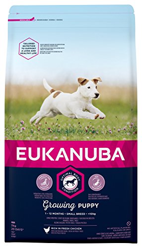Eukanuba Alimento seco para cachorros de razas pequeñas con pollo 3 kg