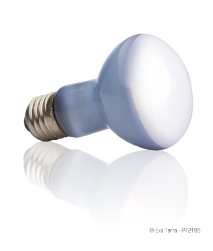 Exo Terra Bombilla Daylight Basking Spot, 25 W