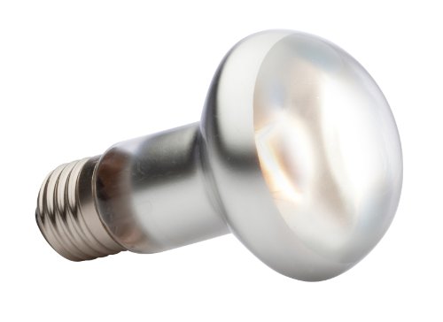 Exo Terra Foco Directo Sun GLO, 50 W