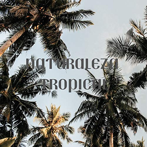 Extensiones De Sonido