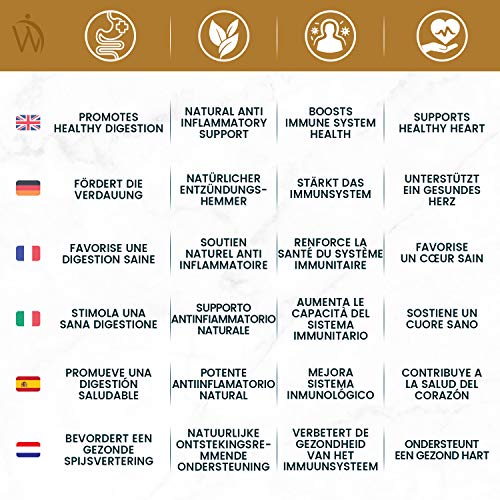 Extracto de Raíz de Jengibre Cápsulas Dosis Alta 14400mg - Suplemento Antioxidante, Mejora Sistema Inmunológico, Potente Antiinflamatorio Natural, Rico en Vitamina C y Zinc, Vegano, 60 Cápsulas