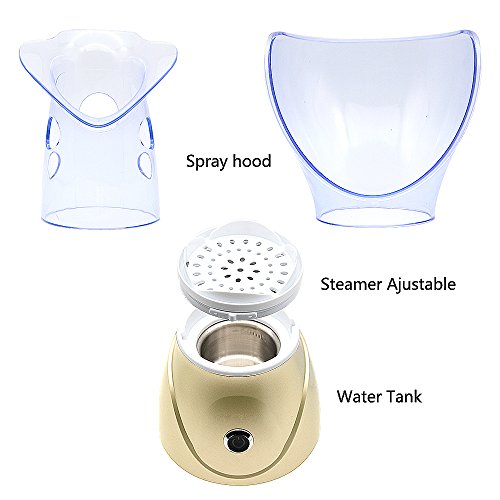 Facial Steamer + Acne Needle Set,Regalo del día de la madre,Profesional Facial Sauna Steam Inhaler Spa para Mascarilla Hidratante y Sinus con función de humidificador