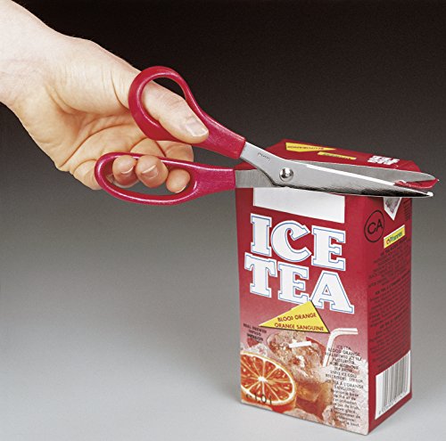 Fackelmann 48145 Nirosta - Tijeras para Zurdos (21 cm)