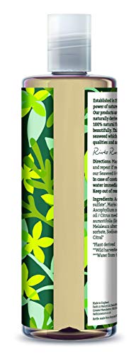 Faith in Nature Champú Natural de Algas Marinas y Cítricos, Detoxificante, Vegano y No Testado en Animales, sin Parabenos ni SLS, para Todo Tipo de Cabello, 400 ml