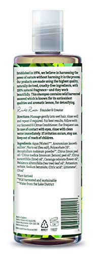 Faith in Nature Champú Natural de Algas Marinas y Cítricos, Detoxificante, Vegano y No Testado en Animales, sin Parabenos ni SLS, para Todo Tipo de Cabello, 400 ml