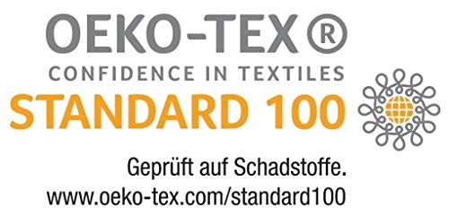 Familando Castor/Franela Ropa de Cama Reversible el Reino Del Hielo, 135 X 200cm 80 X 80 cm, 100% Algodón, Frozen Fucsia 045031
